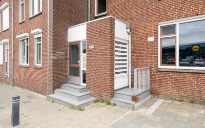 Drievogelstraat 231