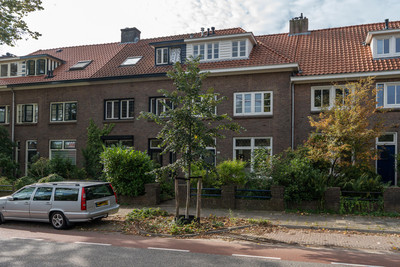 Berg en Dalseweg 290