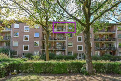 Wolfstraat 74