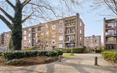 Wolfstraat 104
