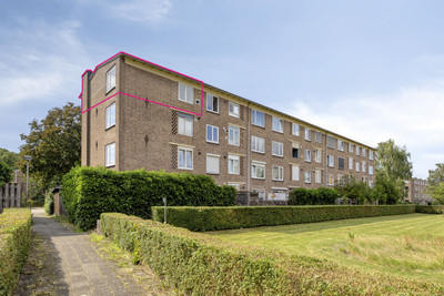 Tijgerstraat 137