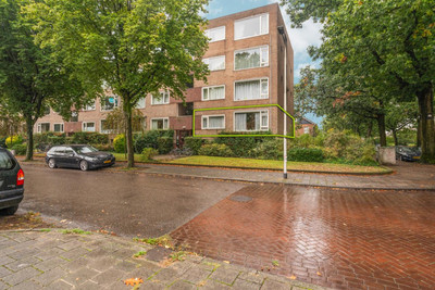 Dingostraat 2