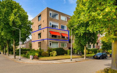 Dingostraat 46