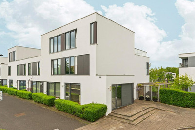 Dorsvlegels. 1