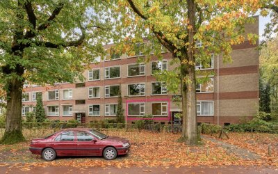 Oude Molenweg 287