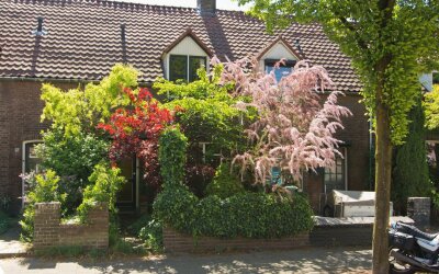 Zichtstraat 39