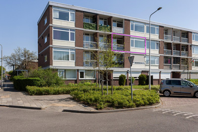 Newtonstraat 65