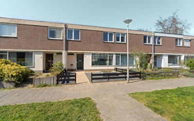 Remmersteinstraat 8