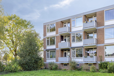 Domela Nieuwenhuisstraat 53