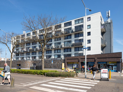 Treubstraat 126