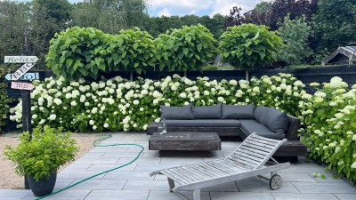 Weezenhof 6319