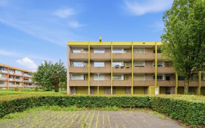 Meijhorst 3131