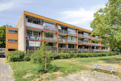 Meijhorst 3339