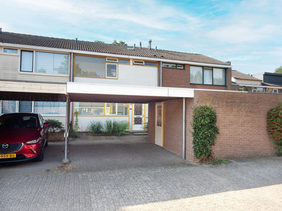 Meijhorst 6228