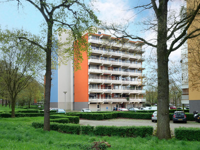 Tolhuis 6667