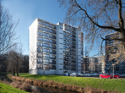 Lankforst 5659