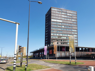 Spijkerhofp. 51