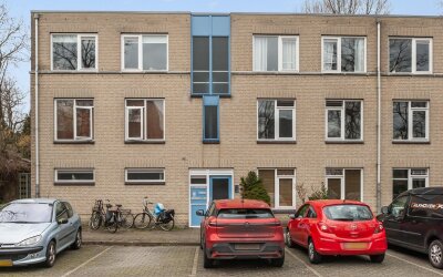Ridderspoor 23