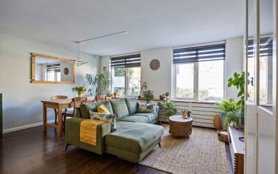 Ridderspoor 24