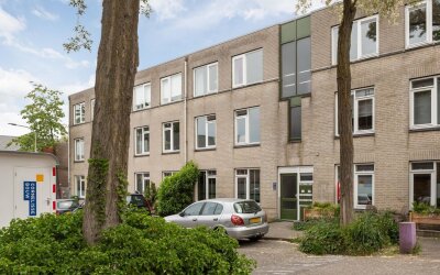 Ridderspoor 26