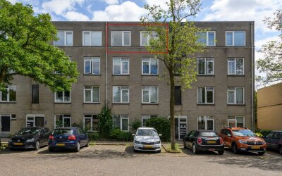 Ridderspoor 118
