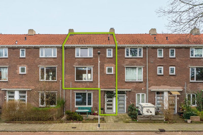 Zonnebloems. 36