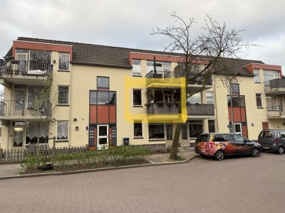 Korenbloems. 42