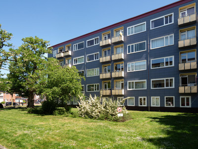 Wijnbesstra. 81