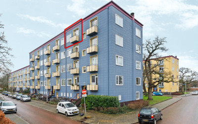 Wijnbesstraat 99
