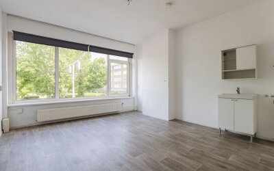 Molenweg 275