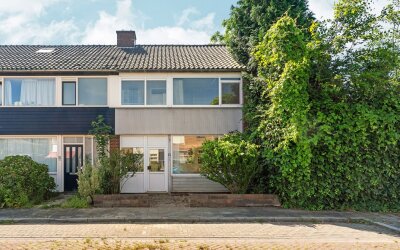 Csardasstra. 38