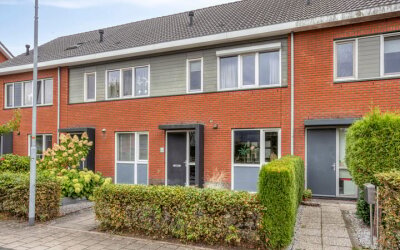Esdoorn 14