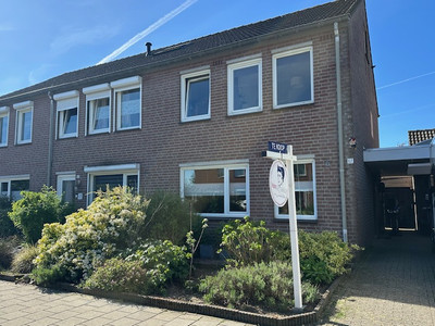 Steffenberg 67