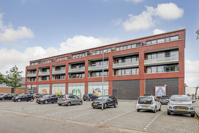 Homberg 2519-L