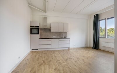 Aambeeld 24-C