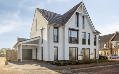 Timmerman 43