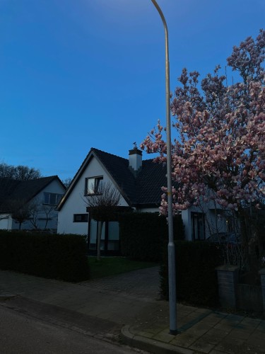 Zandstraat 3