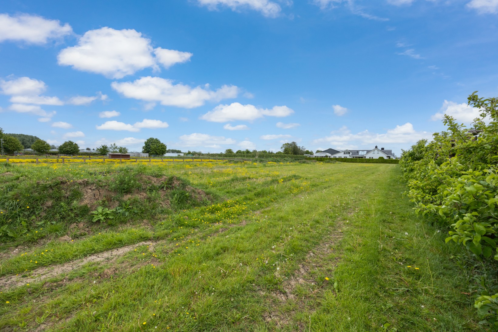 Woning te koop: Schippershof 3, Dreumel