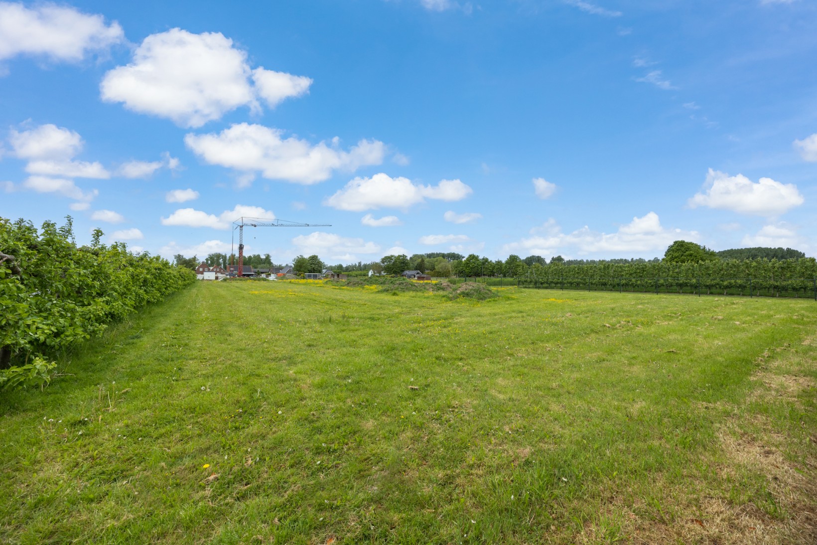 Woning te koop: Schippershof 5, Dreumel