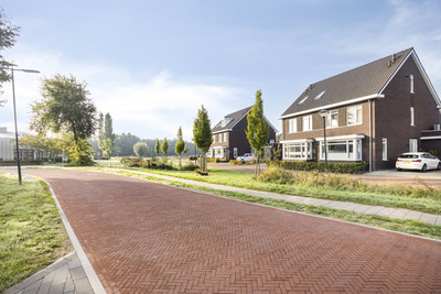 Grenzenboom 11