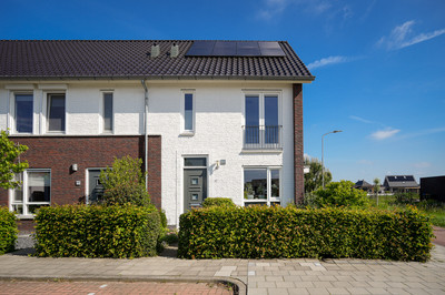 Korenveld 49