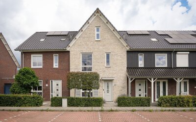 Koolzaadveld 57