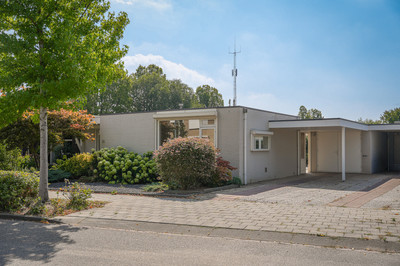 Rozenstraat 31