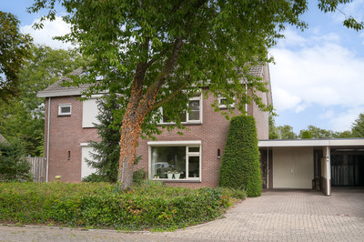 Doornik 3