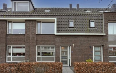 Riet 24