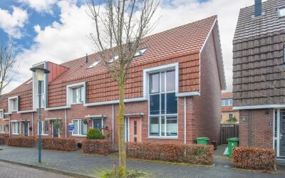 Pijlkruid 10