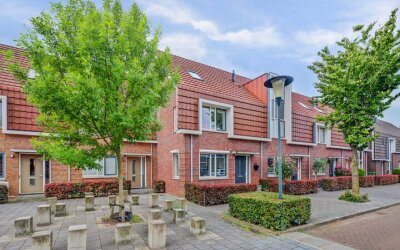 Pijlkruid 16