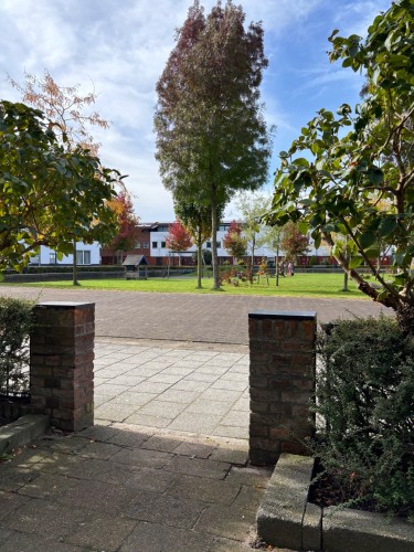 Wolkenhemel 10