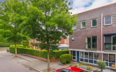 Ochtendnevel 5