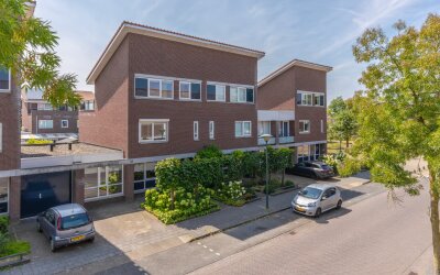 Ochtendnevel 16
